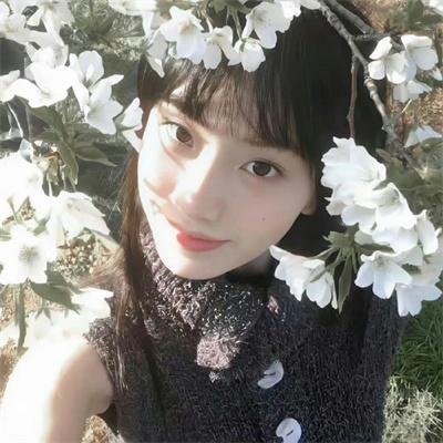 青春不言败