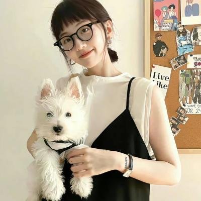 一条叫王子的狗